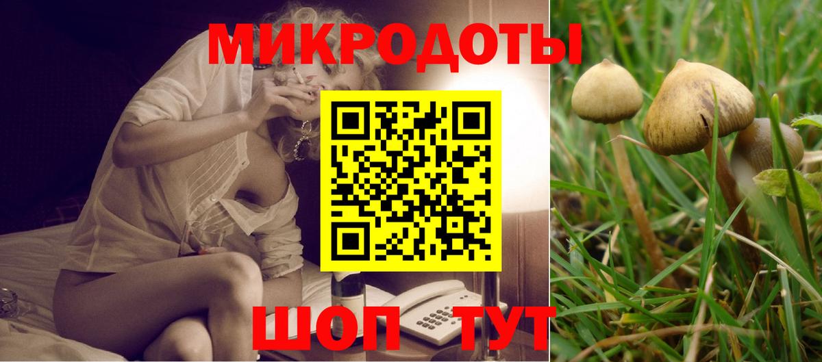 Псилоцибиновые грибы Psilocybe  Псилоцибиновые грибы GOLDEN TEACHER  Вход с VPN  Ачинск 